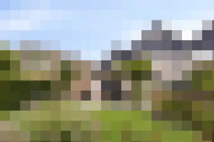 Molengaarde 85 Doesburg thumbnail 40