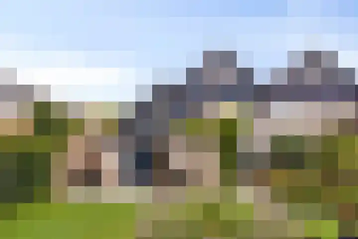 Molengaarde 85 Doesburg thumbnail 42