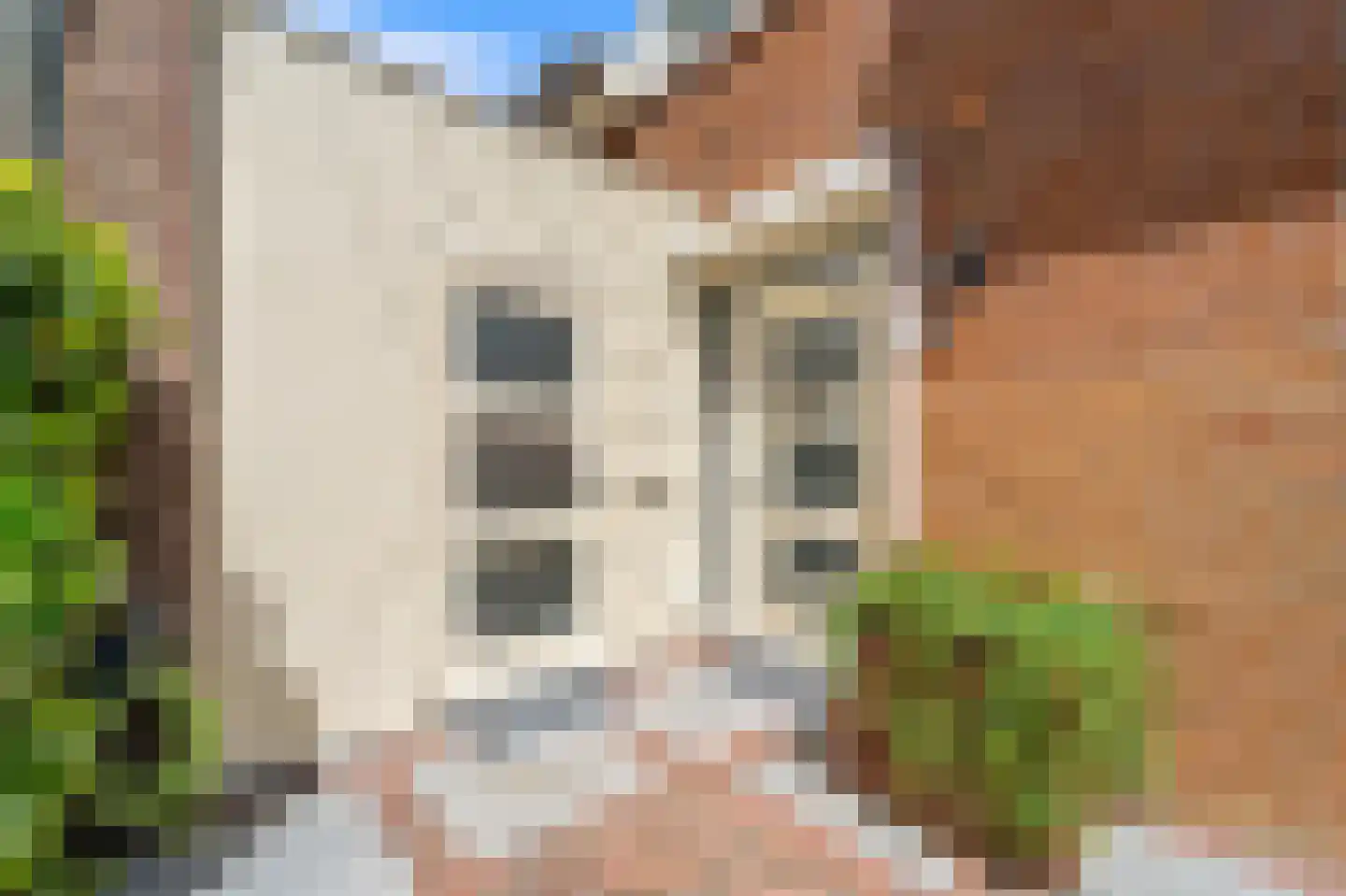 Molengang 10 Schipluiden thumbnail 10