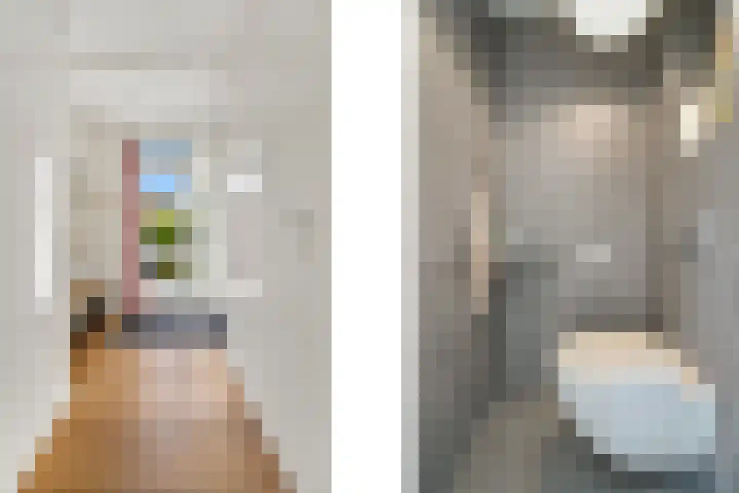 Molengang 10 Schipluiden thumbnail 11