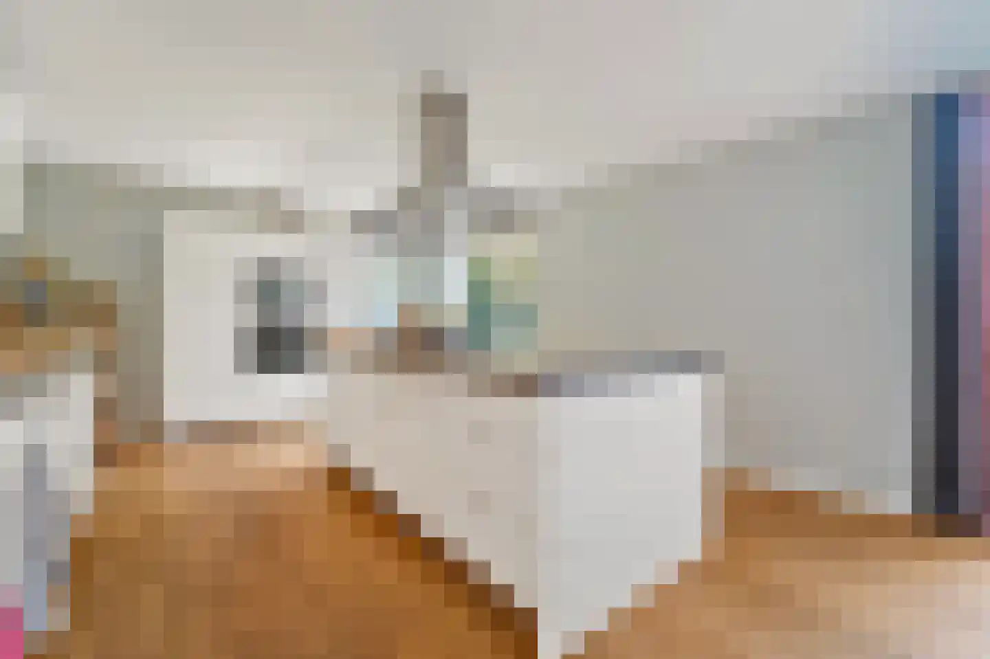 Molengang 10 Schipluiden thumbnail 18