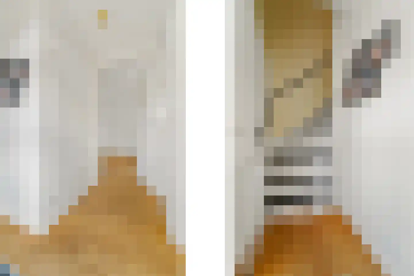 Molengang 10 Schipluiden thumbnail 19