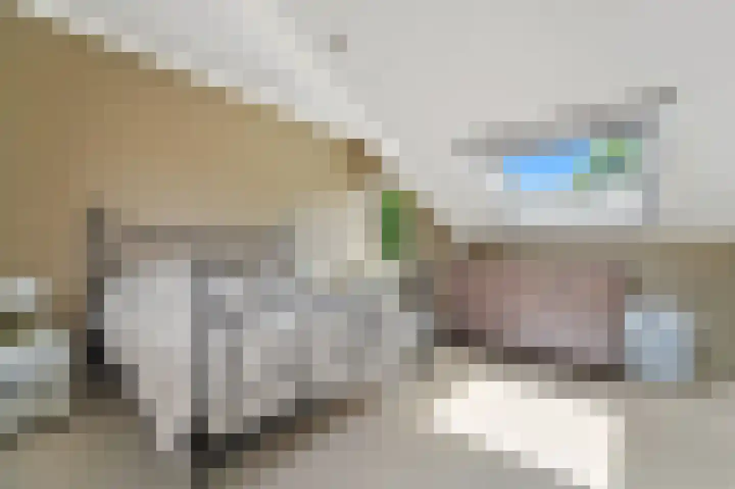 Molengang 10 Schipluiden thumbnail 20