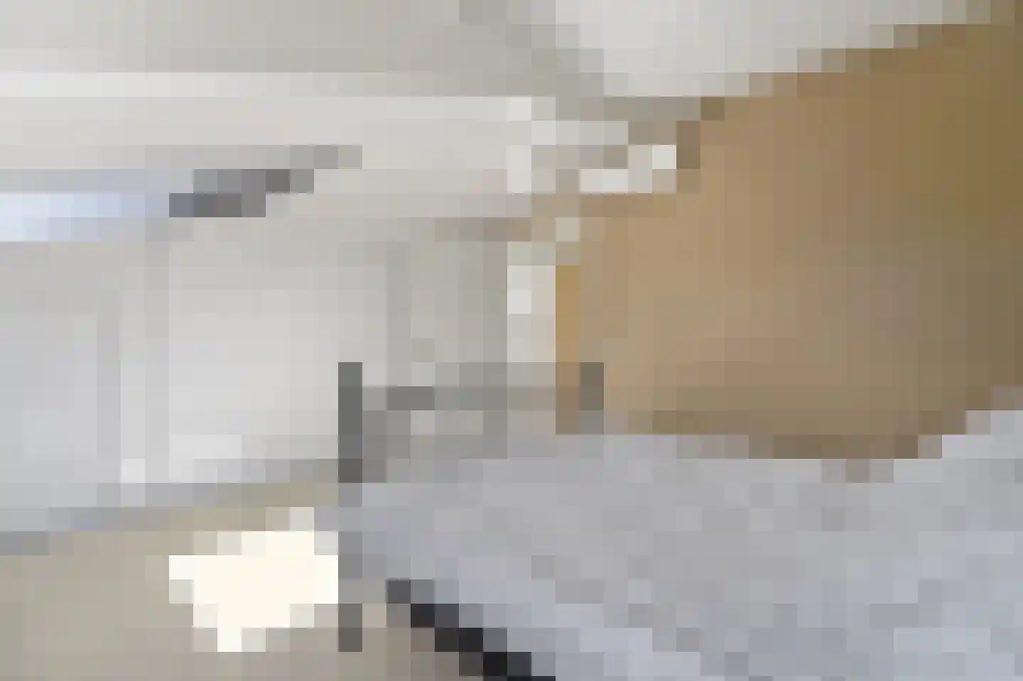 Molengang 10 Schipluiden thumbnail 21