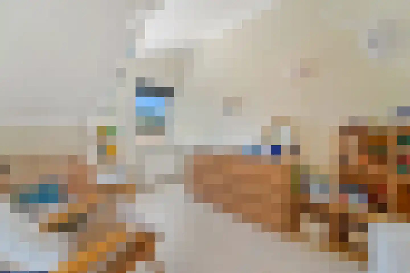 Molengang 10 Schipluiden thumbnail 22