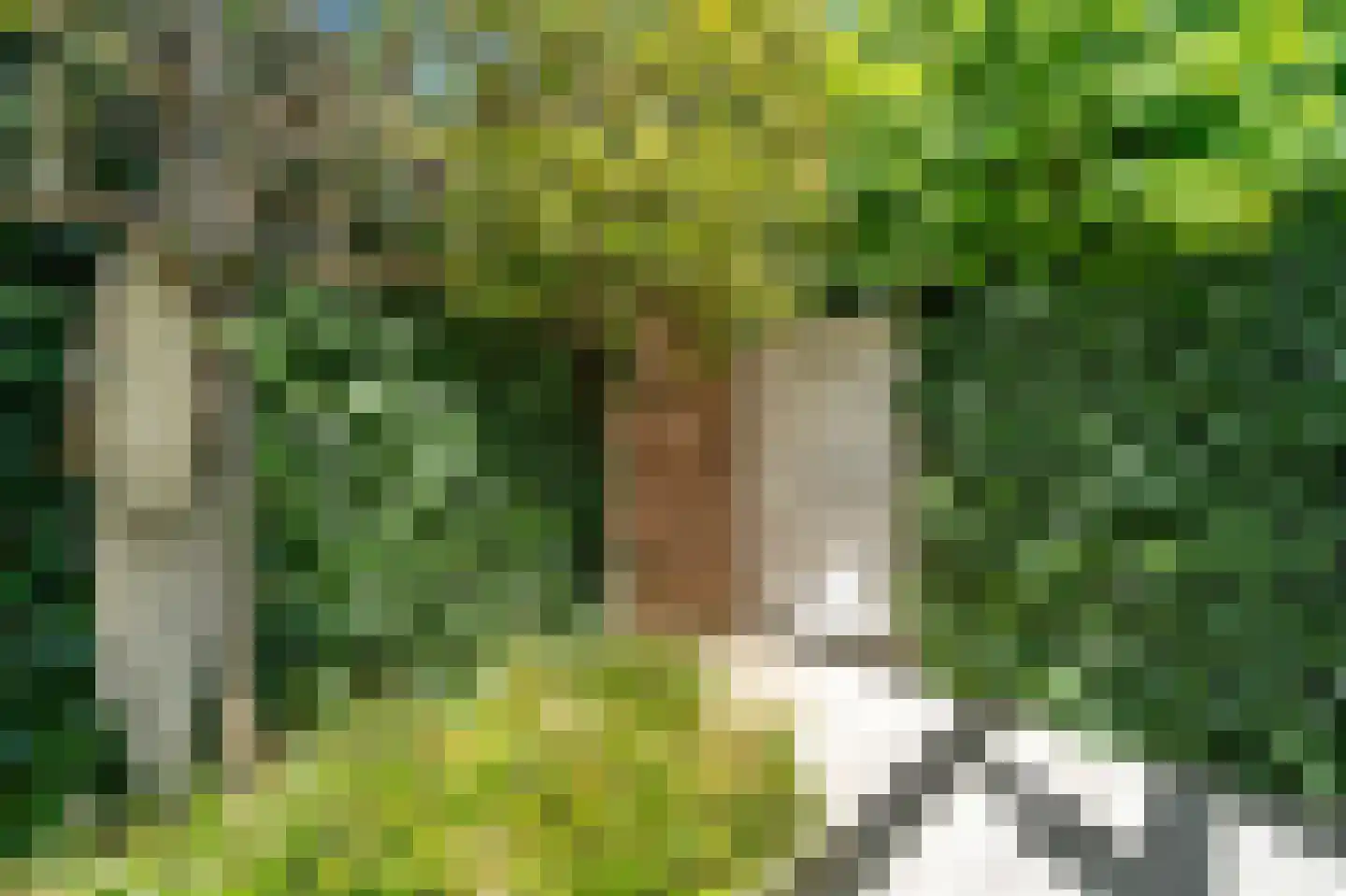 Molengang 10 Schipluiden thumbnail 30