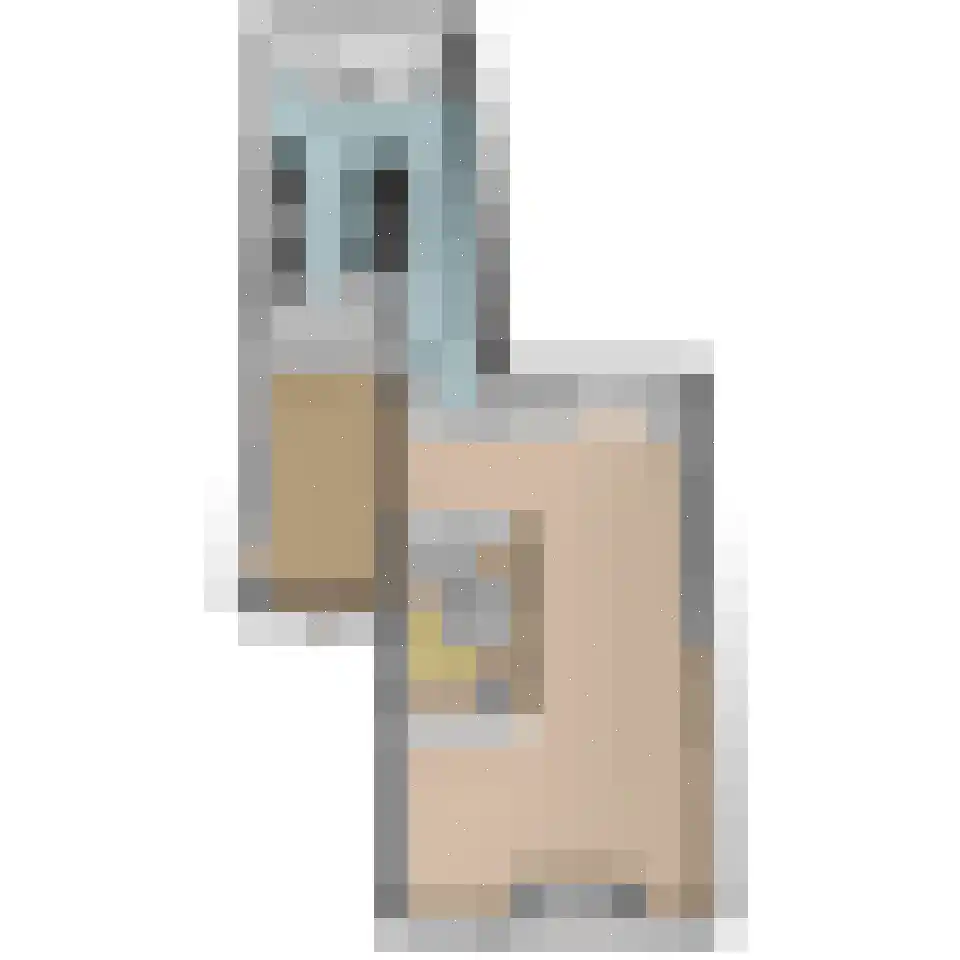 Molengang 10 Schipluiden thumbnail 38