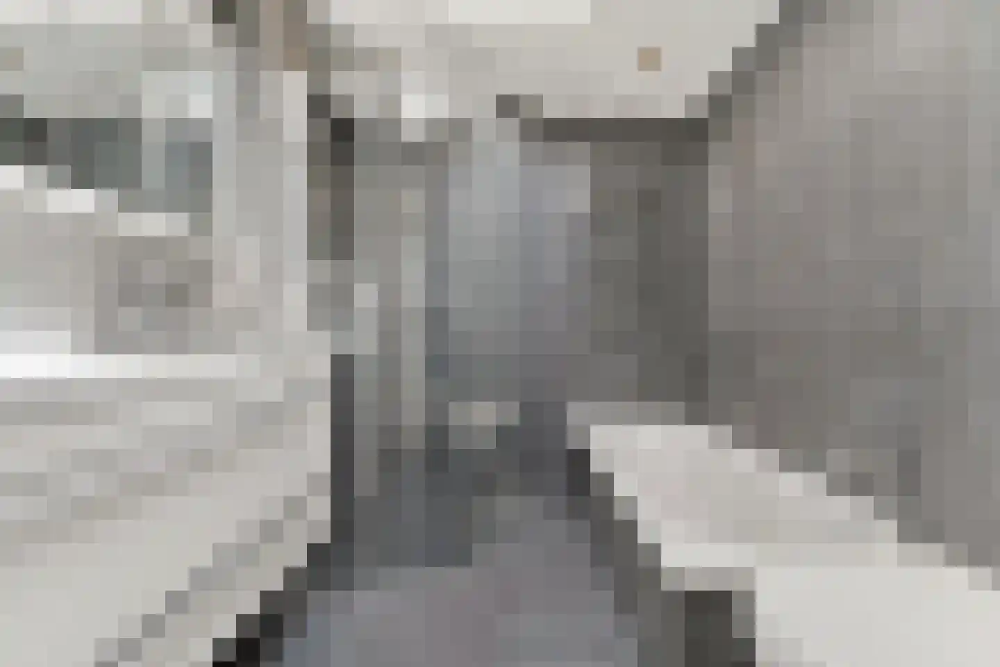 Molengang 10 Schipluiden thumbnail 4