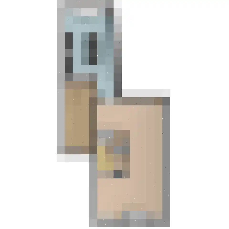 Molengang 10 Schipluiden thumbnail 43