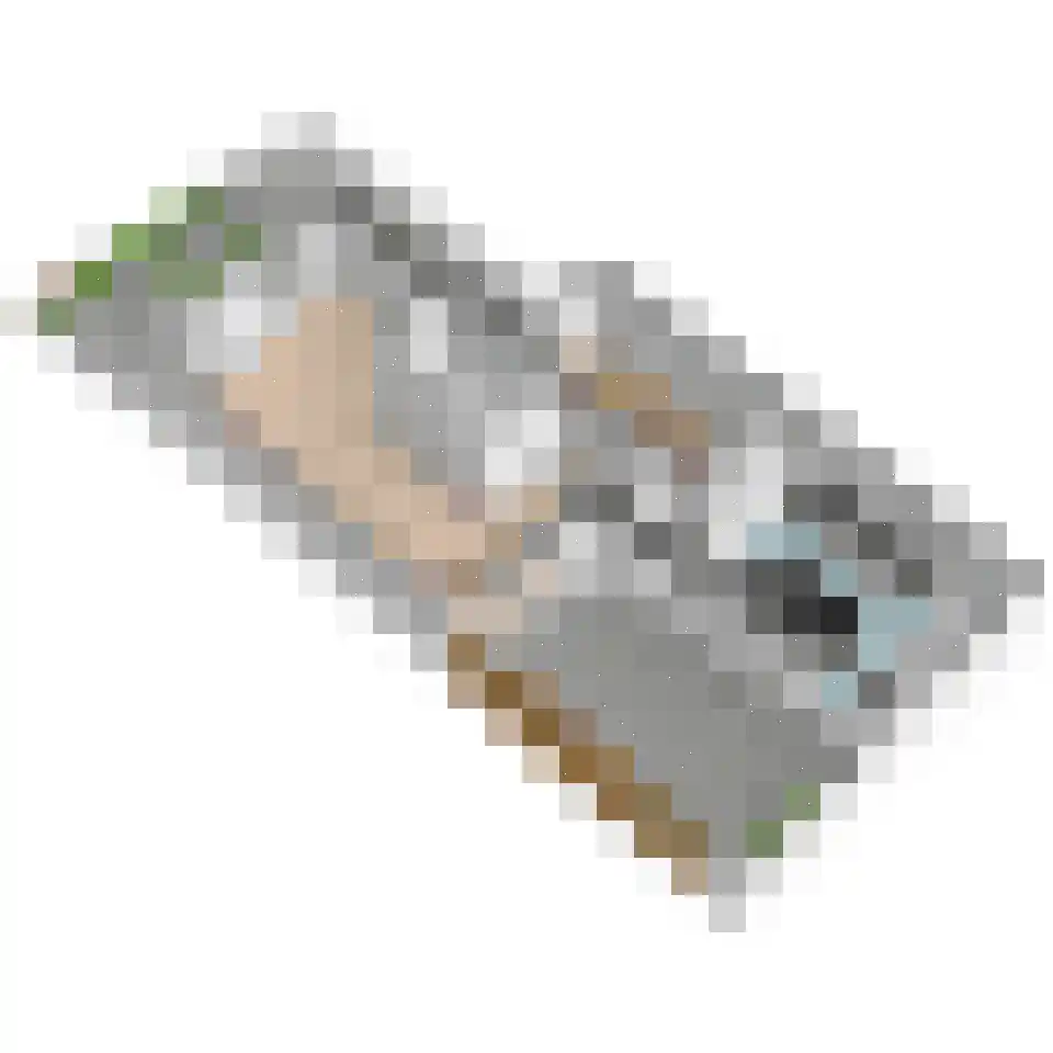 Molengang 10 Schipluiden thumbnail 50