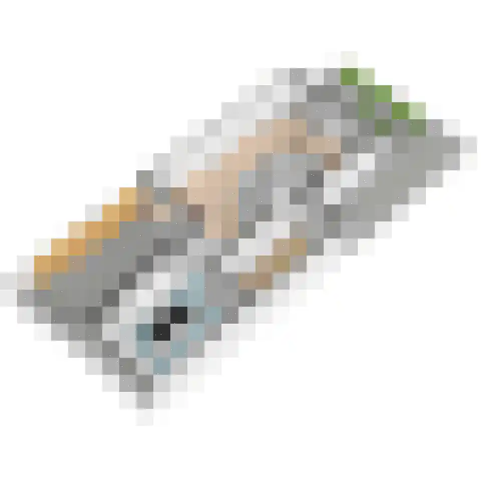 Molengang 10 Schipluiden thumbnail 51
