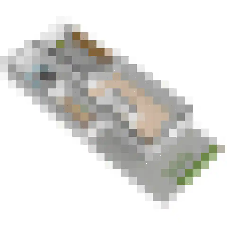 Molengang 10 Schipluiden thumbnail 52