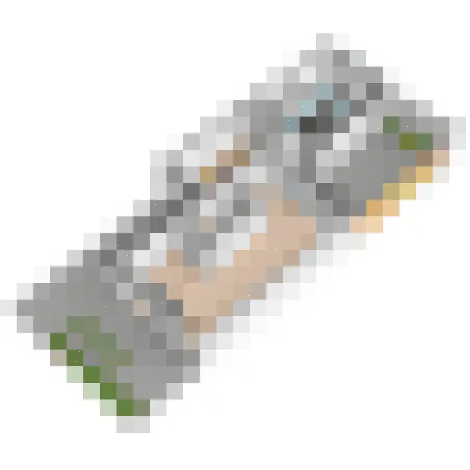 Molengang 10 Schipluiden thumbnail 53