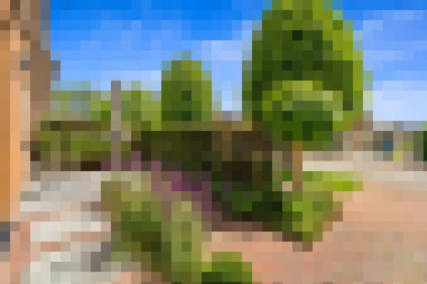 Molengang 10 Schipluiden thumbnail 8