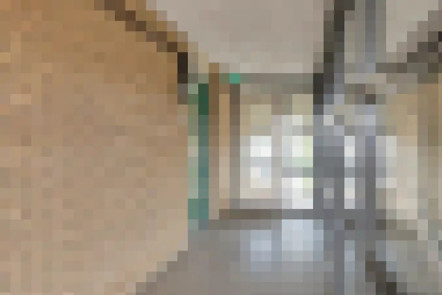Molengang 134 Anna Paulowna thumbnail 11