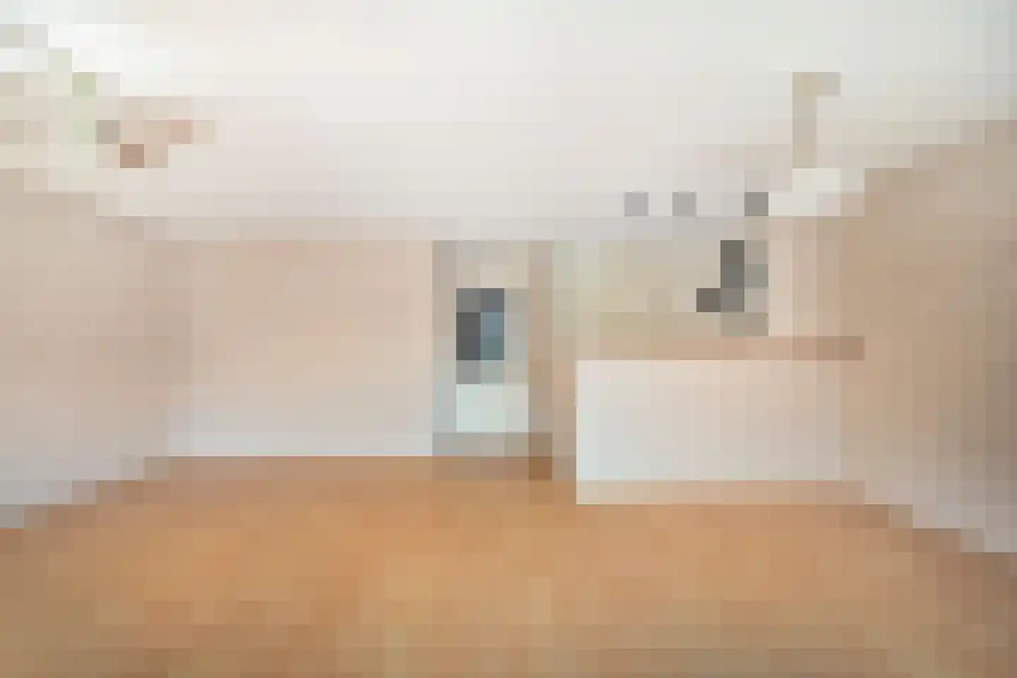 Molengang 168 Anna Paulowna thumbnail 19