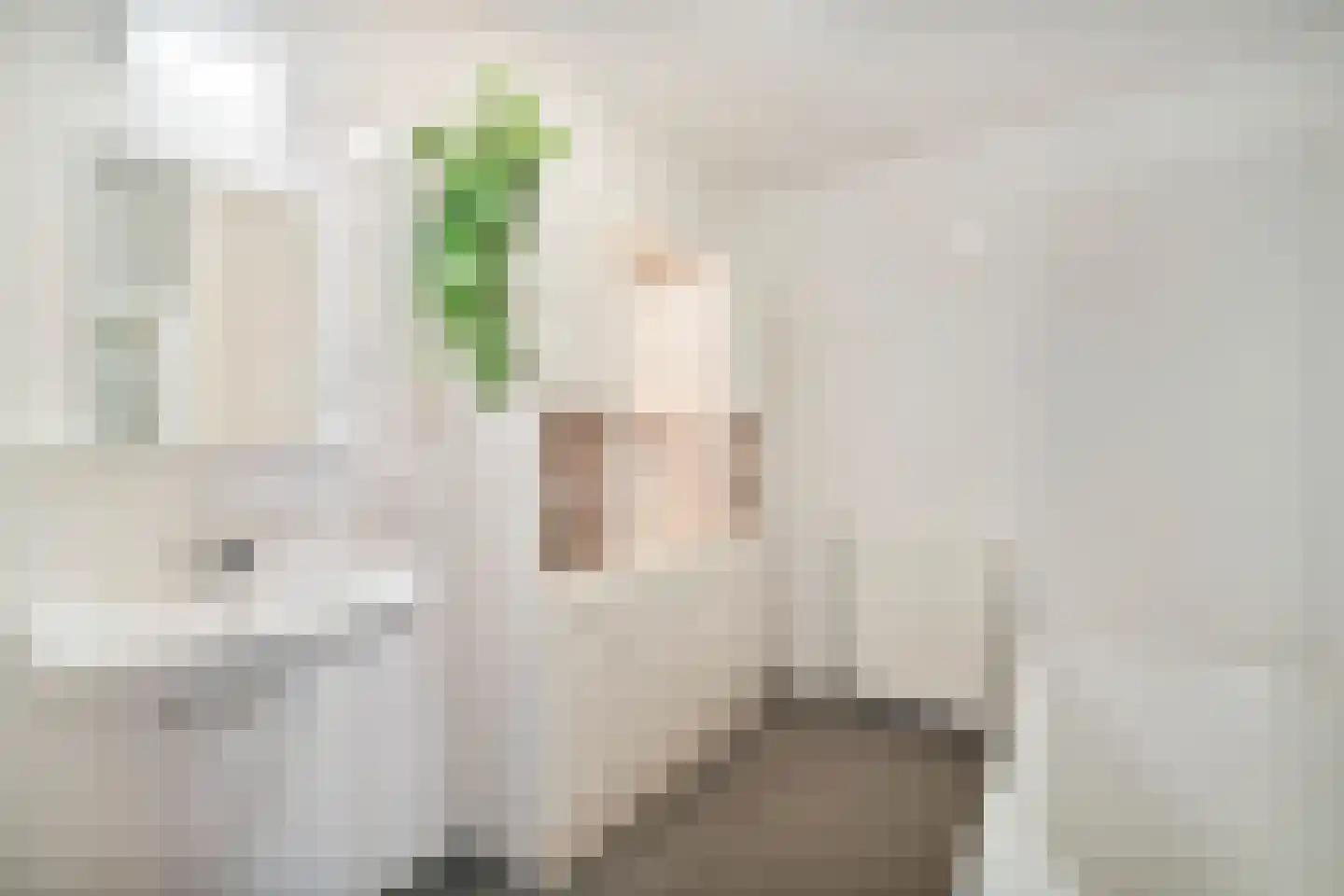 Molengang 168 Anna Paulowna thumbnail 26