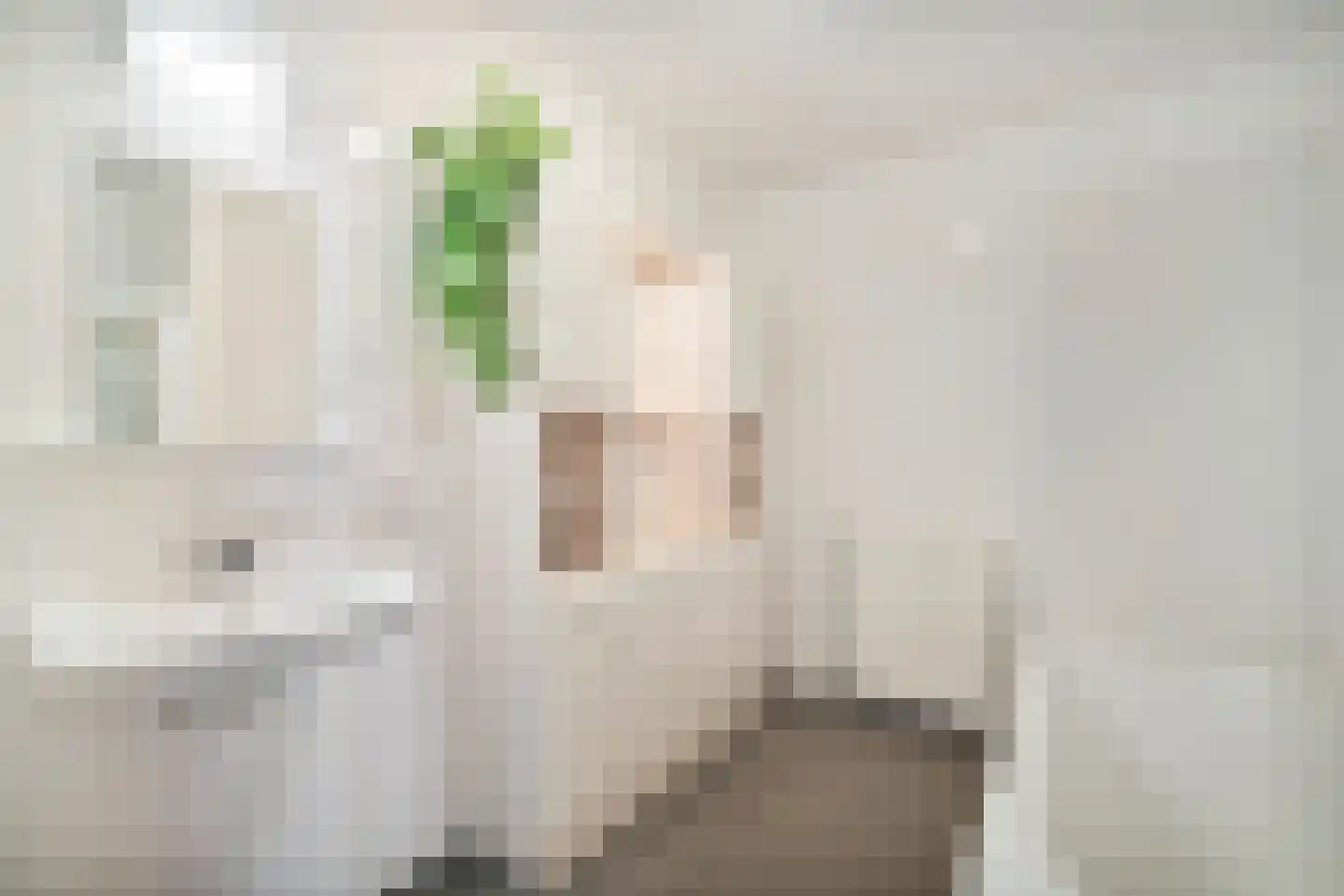 Molengang 168 Anna Paulowna thumbnail 4
