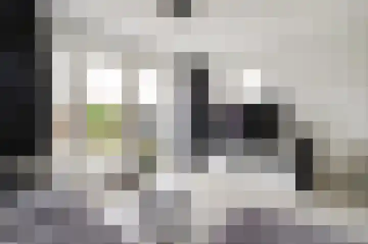 Molengang 22 Zeewolde foto 2