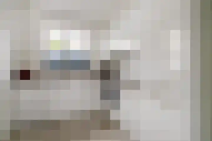 Molengang 22 Zeewolde foto 3