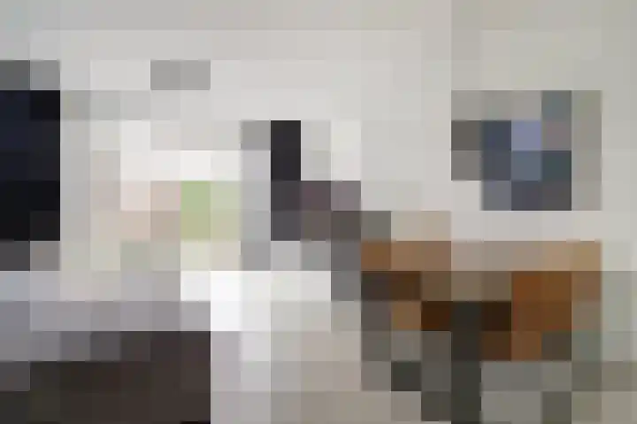 Molengang 22 Zeewolde thumbnail 8