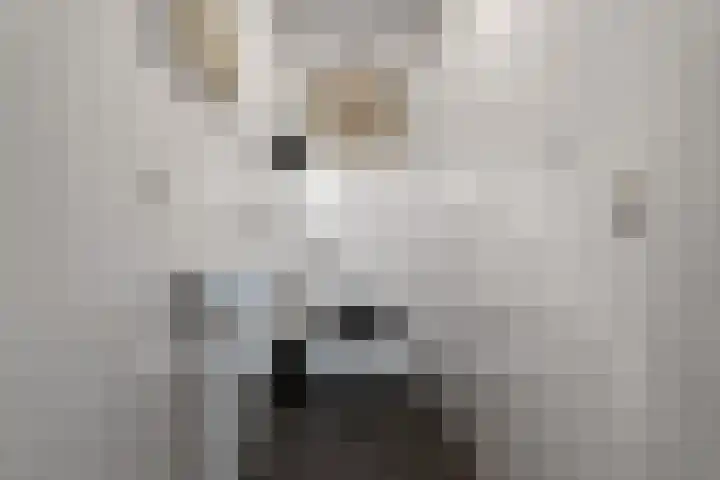 Molengang 228 Anna Paulowna thumbnail 23