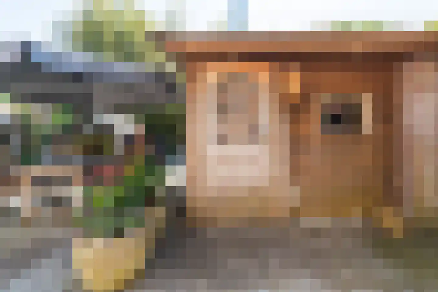 Molengang 9 Oosterhout thumbnail 40