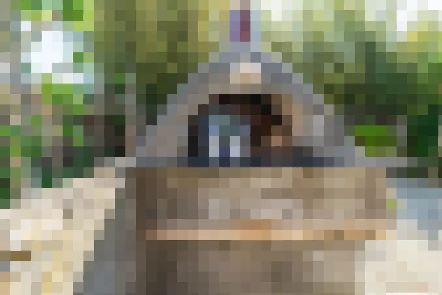 Molengang 9 Oosterhout thumbnail 46