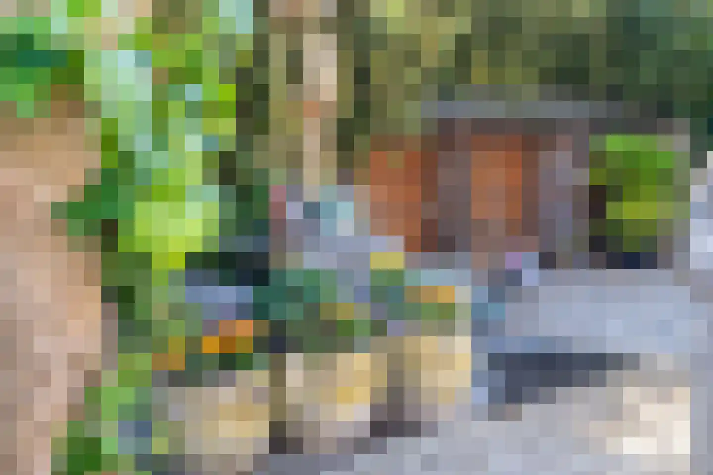 Molengang 9 Oosterhout thumbnail 49