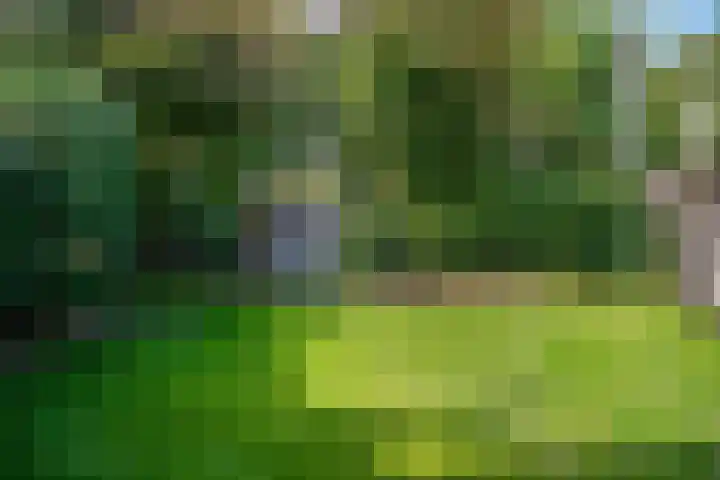 Molenglop 7 Vlieland thumbnail 28