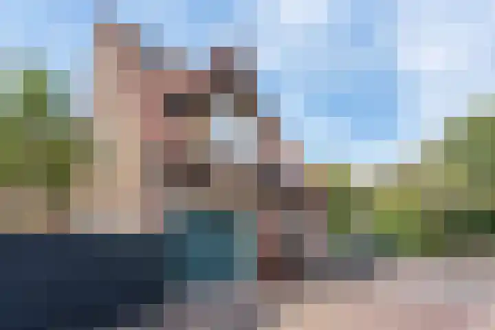 Molenglop 7 Vlieland thumbnail 29