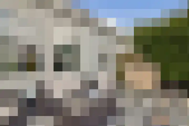 Molengouw 20 Amsterdam thumbnail 13