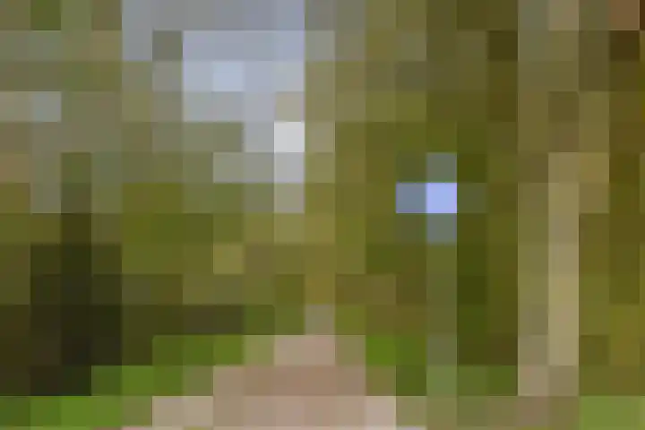 Molengouw 20 Amsterdam thumbnail 21