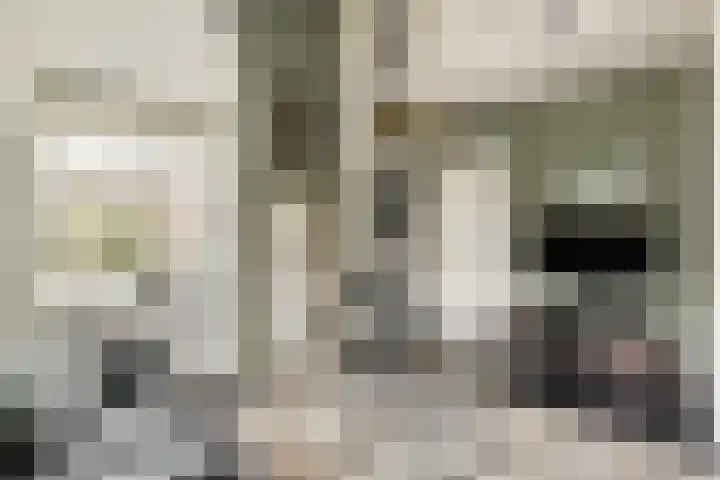 Molengouw 20 Amsterdam thumbnail 6