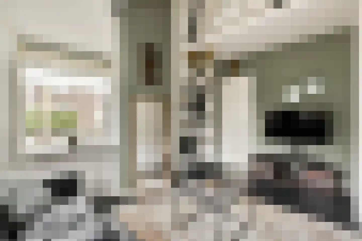 Molengouw 20 Amsterdam thumbnail 6