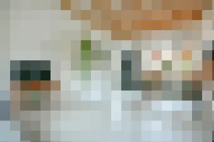 Molengouw 40 Amsterdam thumbnail 10