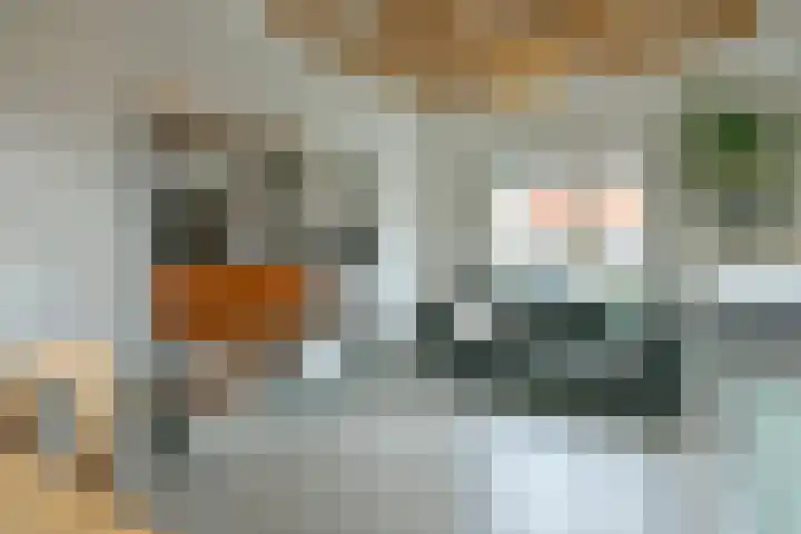 Molengouw 40 Amsterdam thumbnail 7