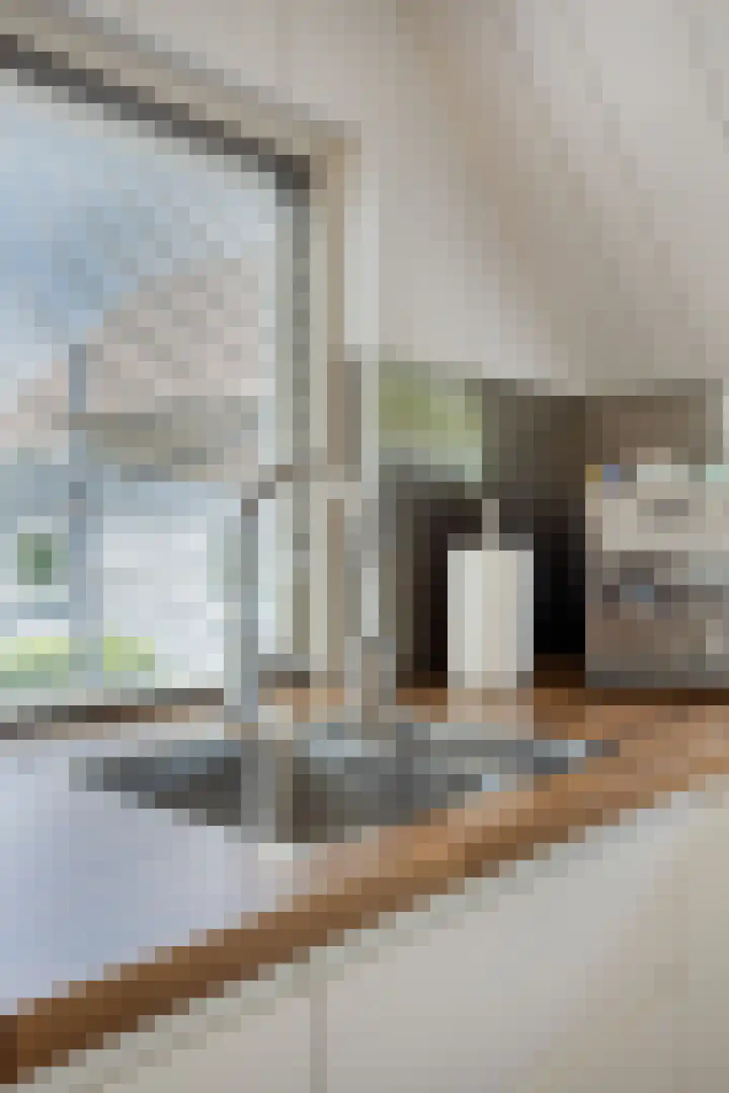 Molengouw 42 Broek in Waterland thumbnail 16