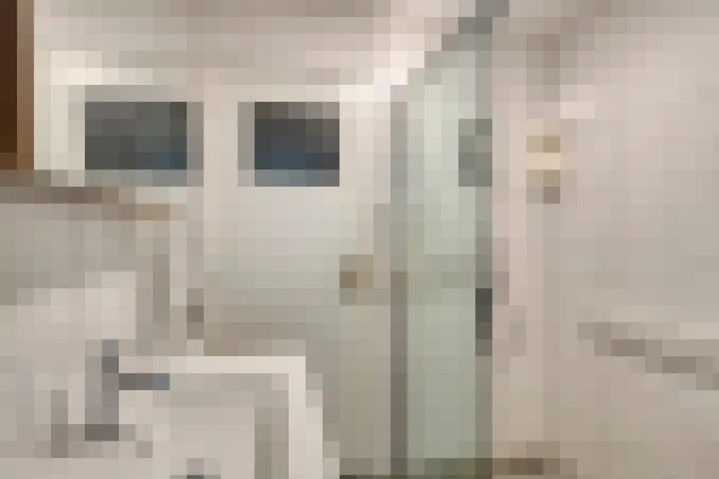 Molengraaf 11 Schaijk thumbnail 12