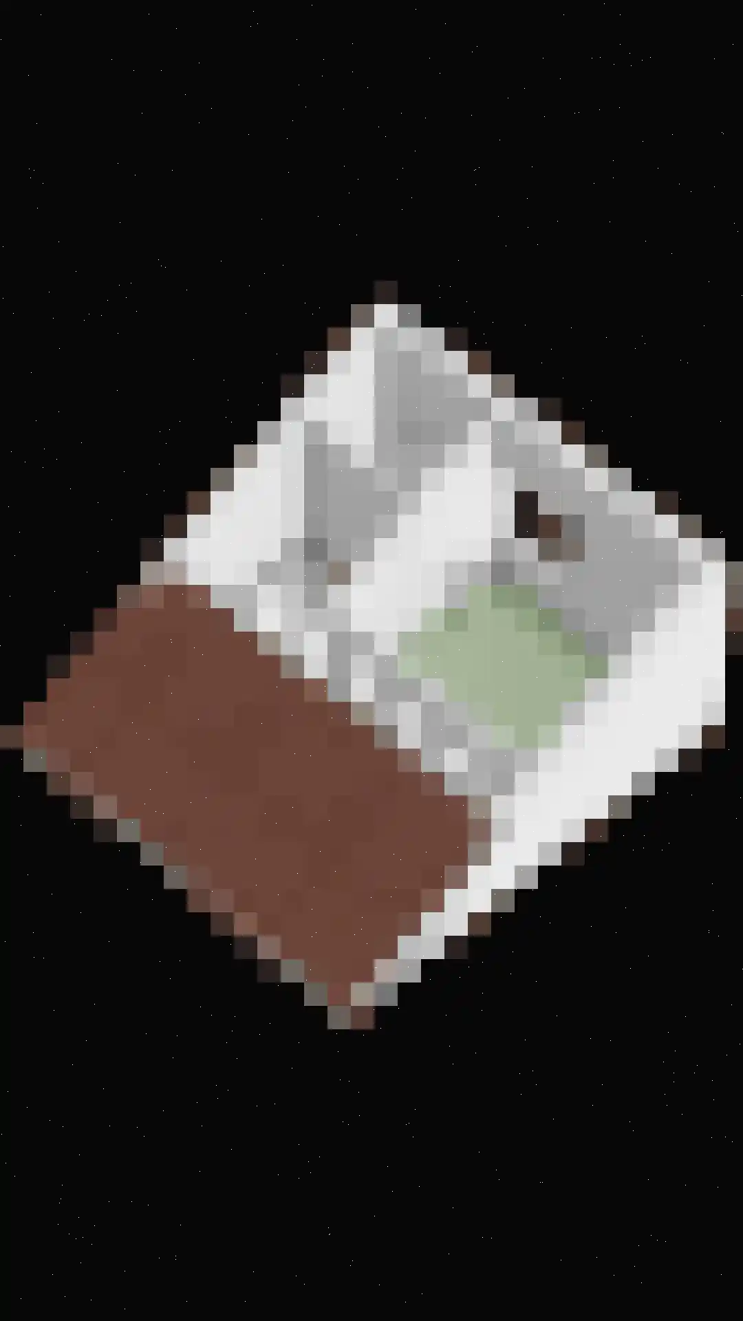 Molengraaf 11 Schaijk thumbnail 40