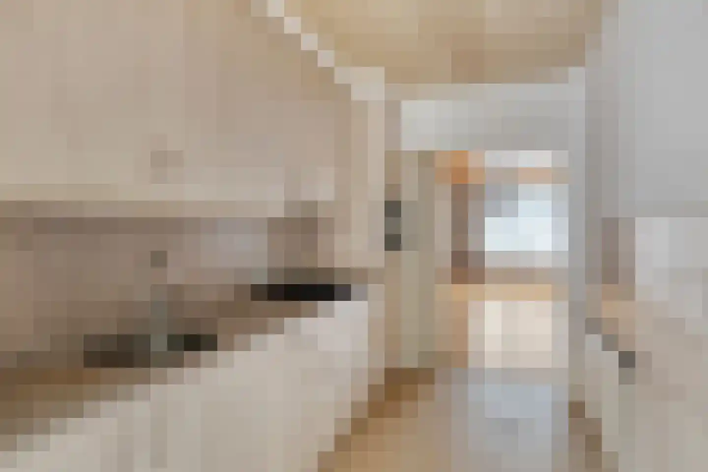 Molengraaf 11 Schaijk thumbnail 8