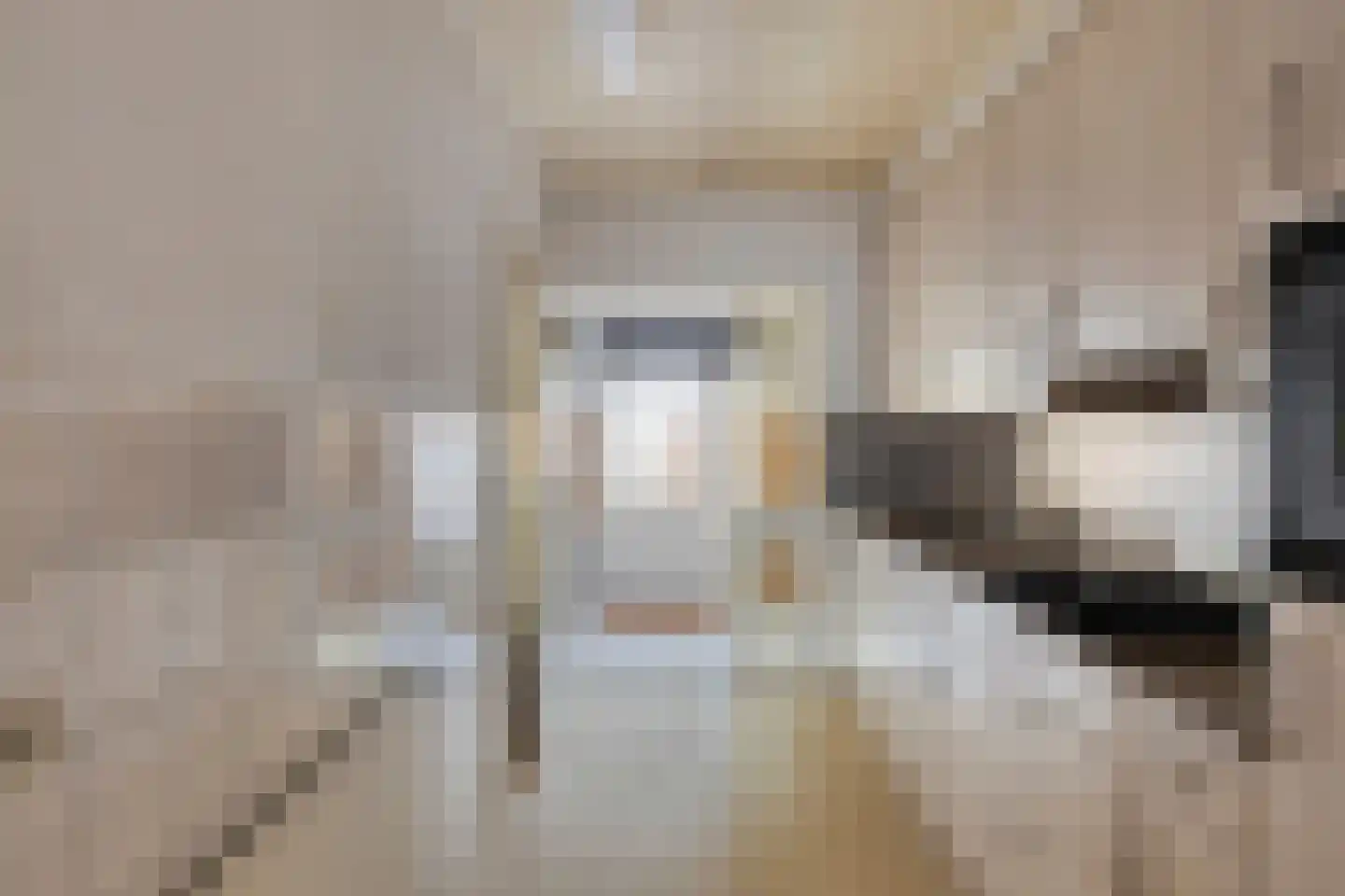 Molengraaf 11 Schaijk thumbnail 9