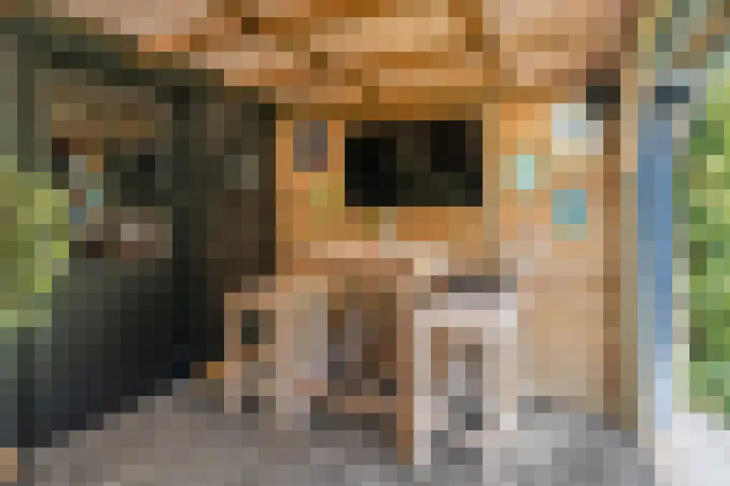 Molengraaf 15 Vianen thumbnail 13