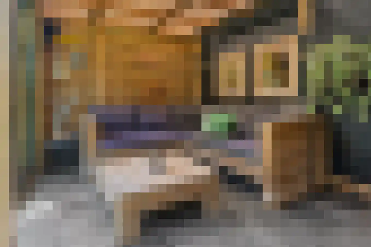 Molengraaf 15 Vianen thumbnail 14