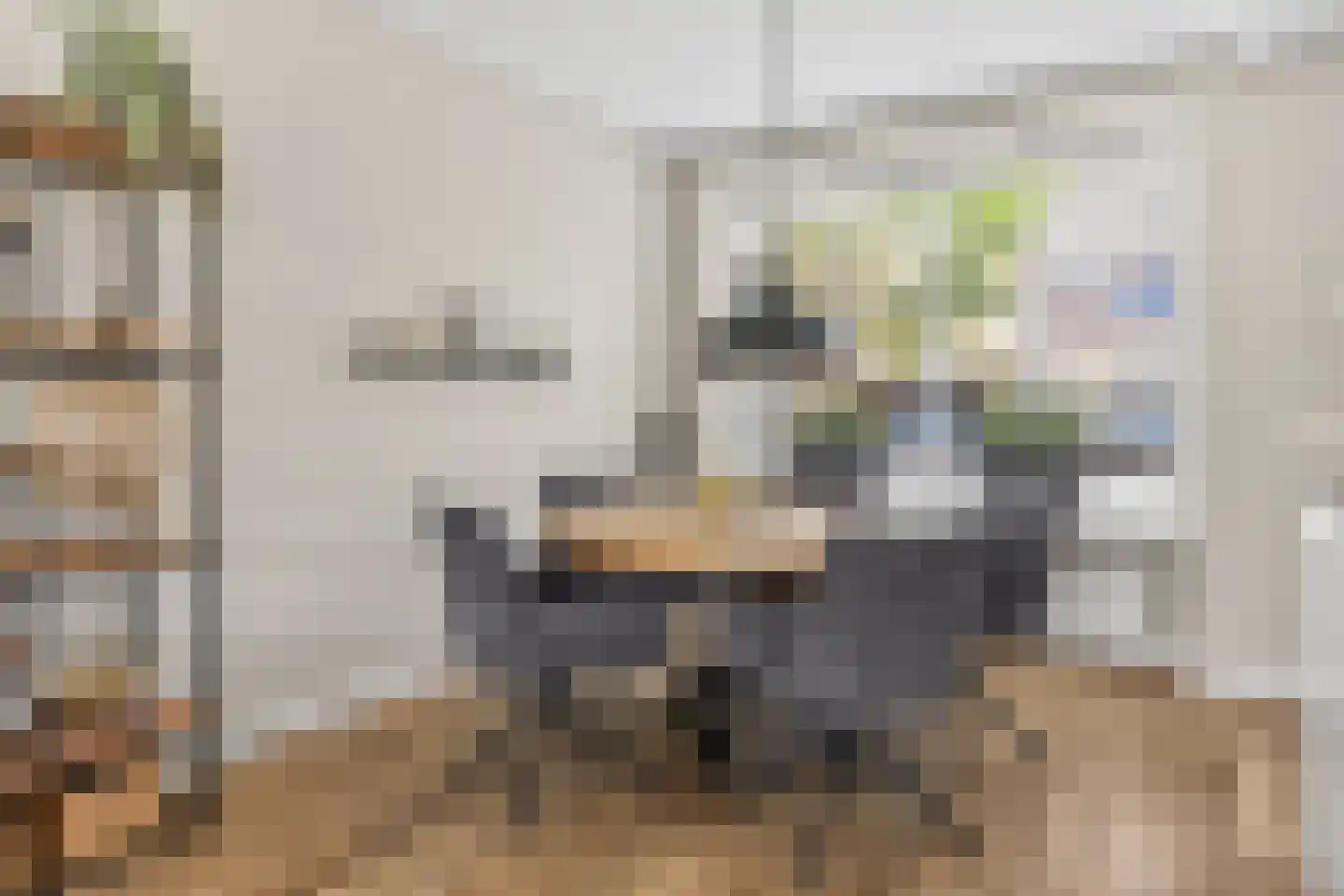 Molengraaf 15 Vianen thumbnail 16