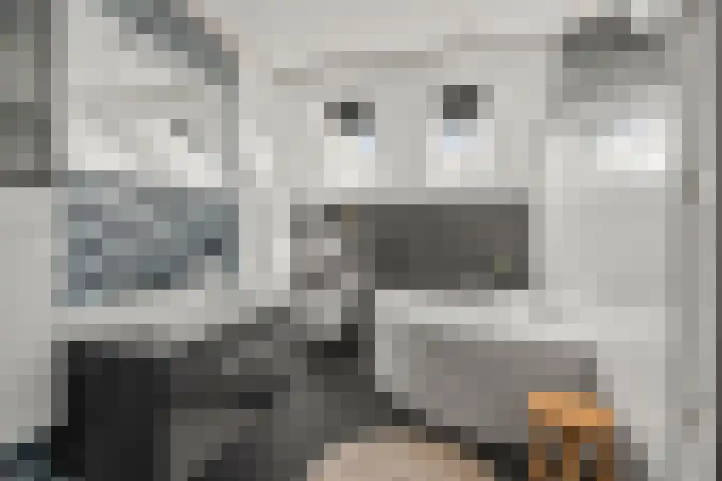 Molengraaf 15 Vianen thumbnail 23