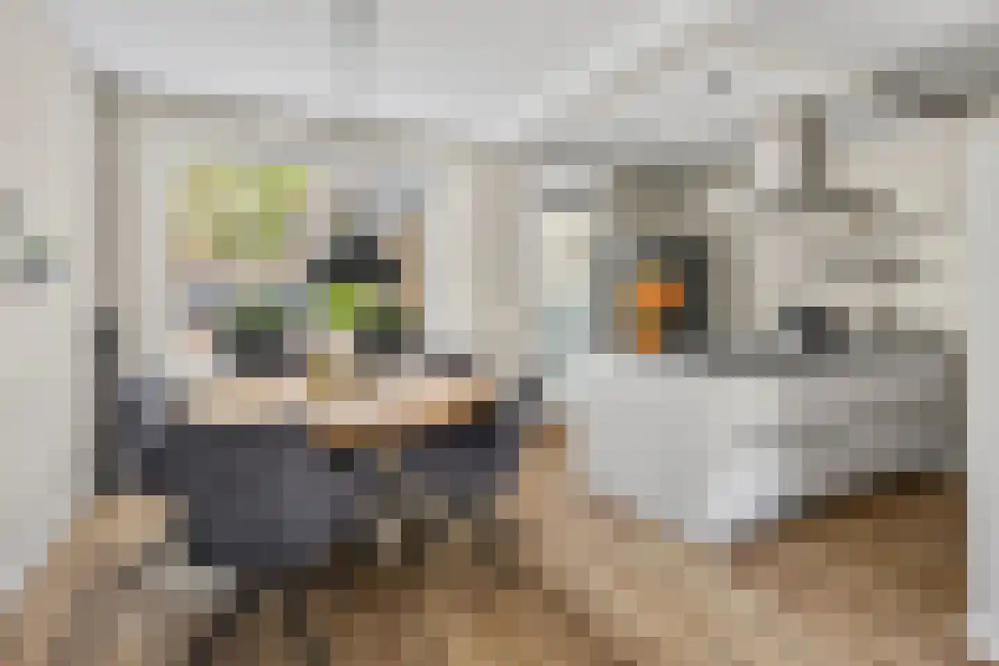 Molengraaf 15 Vianen thumbnail 4