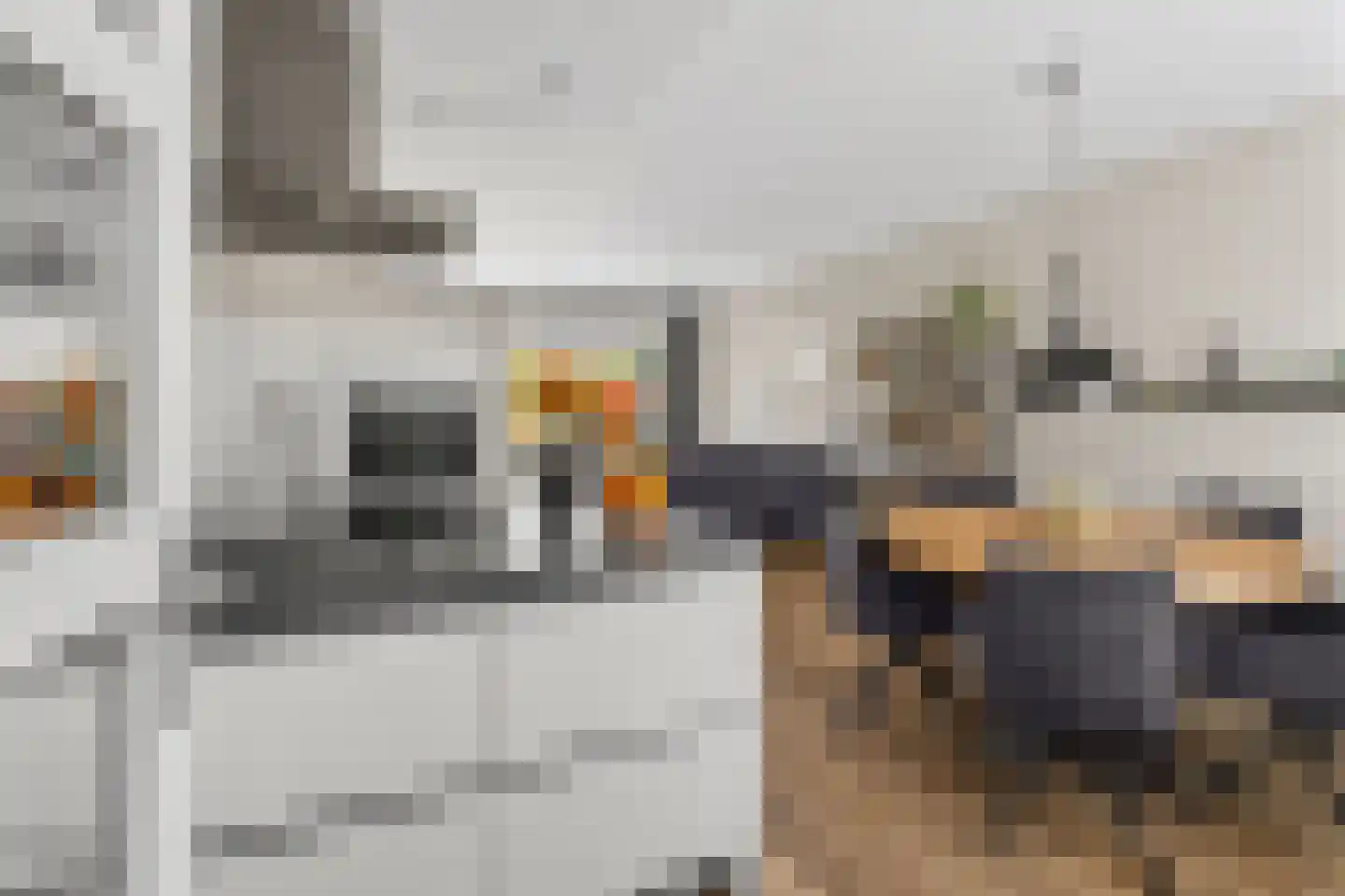 Molengraaf 15 Vianen thumbnail 6