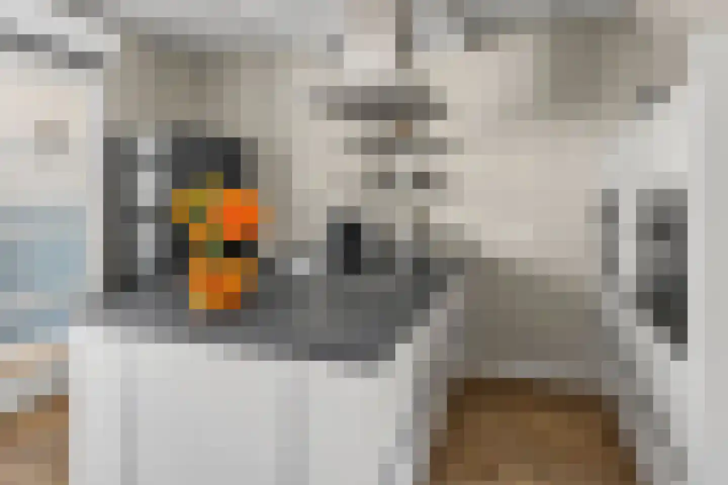 Molengraaf 15 Vianen thumbnail 8
