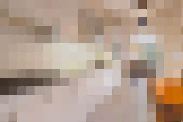 Molengraaf 17 Schaijk thumbnail 14